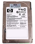 Hewlett Packard - Recertified 2.5" Internal Hard Drive Sas 3GB/S, 146GB 10K Rpm. Fixed Price $48.95.