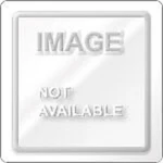 Broadcom L5-25376-00 LSI00291 BBU-BRACKET-05 Remote Mounting. Fixed Price $36.99.
